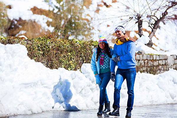 Kashmir Honeymoon Tour Package.